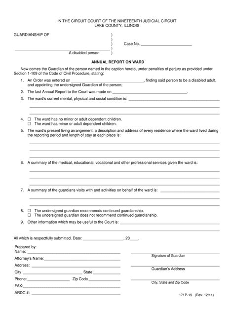 2022 Illinois Annual Report Form Instructions - ReportForm.net