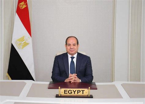 Sisi Says International Community Must Work to Settle Palestinian File