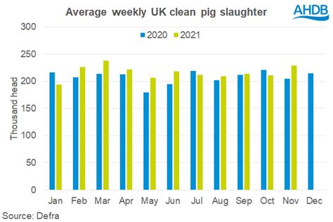 UK pig slaughter and pork production up in November - Pig World