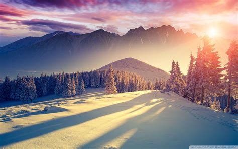 Bing Snow Wallpaper 的图像结果