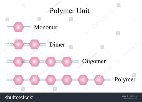 Polymers And Monomers Chart