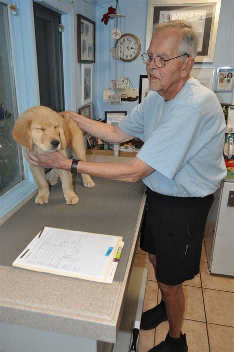 Max! – Morris Hills Veterinary Clinic