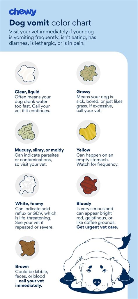 What Does Foamy White Mucus Look Like