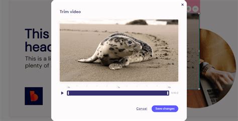 Image result for Video From Biteable Example