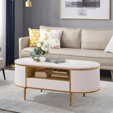 Luxury Modern Fluted Coffee Table, 48" Oval Coffee Table with Storage ...