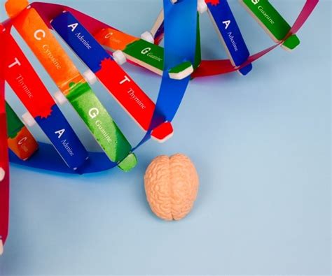 New Finding Links Obesity to 21 Alzheimer's-related Genes | Newsmax.com