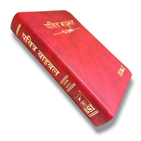 The Holy Bible In Hindi |Crown Maroon Color Bound |Golden Edge Bible ...