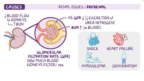 Complete metabolic panel (CMP) - Blood urea nitrogen (BUN) and creatinine (Cr): Nursing: Video ...