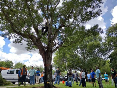 ADVANCED Tree Trimmer Certification - SPANISH, Weston Community Center ...