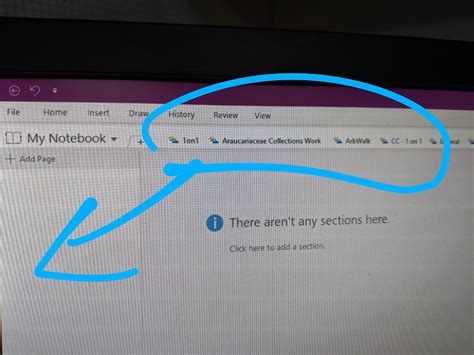 Image result for OneNote Sections Left Side