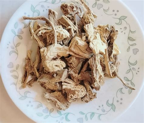 Health Benefits of Poke Root | Benefits of Phytolacca