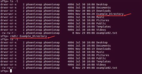 SFTP Tutorial 的图像结果
