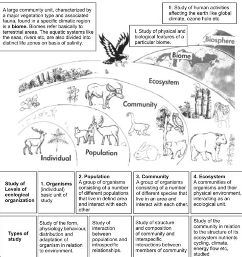 Environment 的图像结果