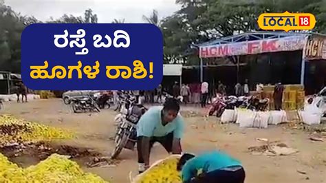 Chikkaballapur: ಹೂ ಬೆಲೆ ಭಾರೀ ಕುಸಿತ, ಸೌಂದರ್ಯದ ರಾಶಿಗೆ ರಸ್ತೆ ಬದಿಯೇ ಗತಿ ...