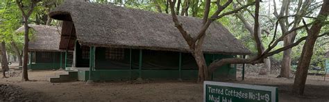 Trailroot Holidays
