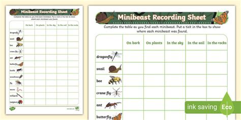 Minibeast Hunt and Location Recording Sheet (teacher made)