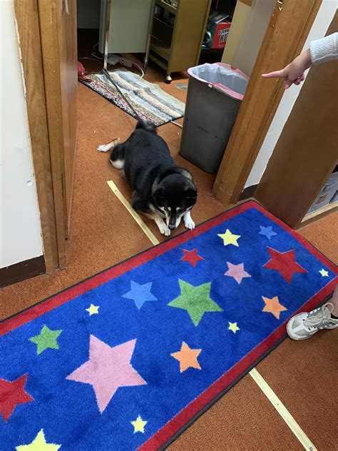 Damn boy he thick boy : r/AbsoluteUnits