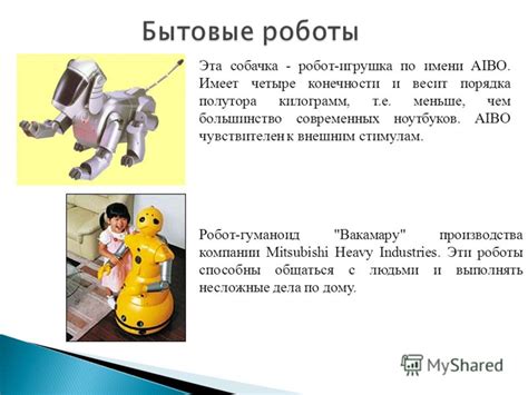 Бытовые роботы презентация 7 класс