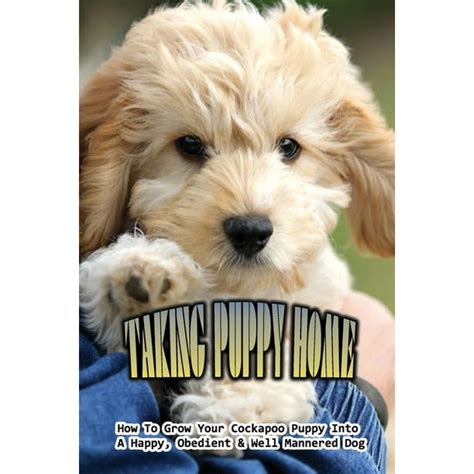 Cockapoo Biting 的图像结果