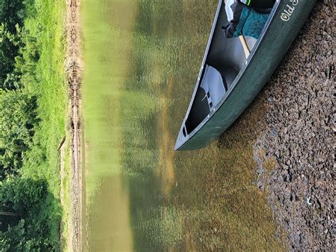 GREEN RIVER CANOEING (2026) All You Need to Know BEFORE You Go (with ...