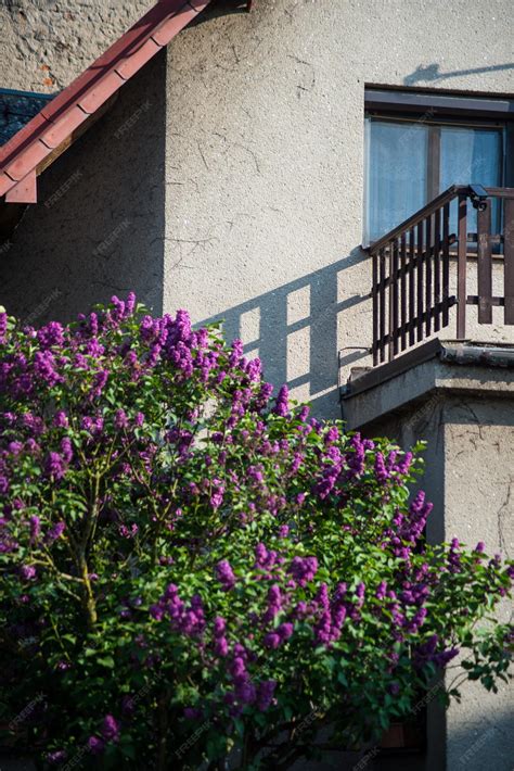Premium Photo | A balcony with a bush of purple flowers