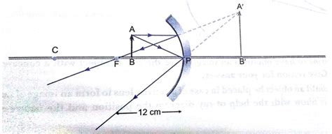 Subjects | Study Isle