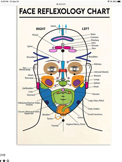 Face mapping according to traditional chinese medicine – Artofit