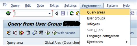 Image result for SAP Query Tcode