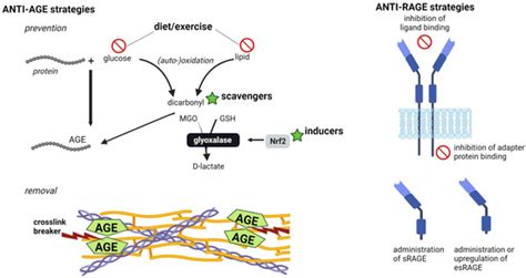 JCM | Special Issue : Clinical Advances in Chronic Obstructive ...