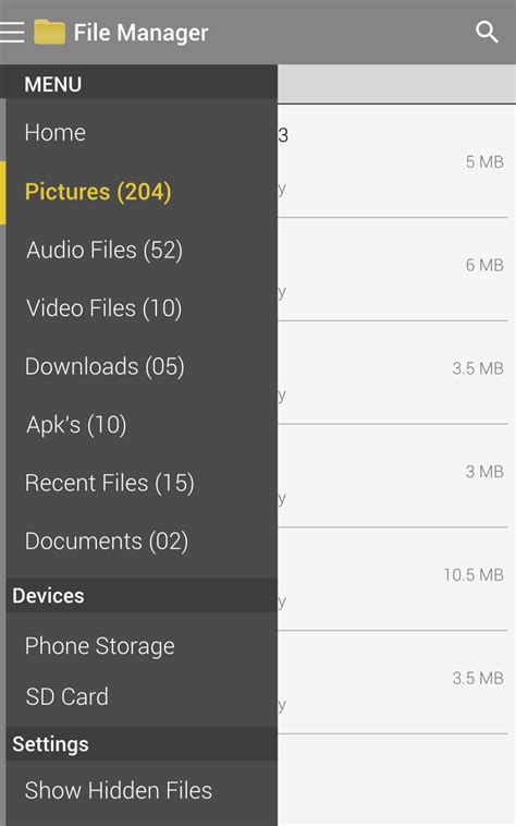 Define File Manager 的图像结果