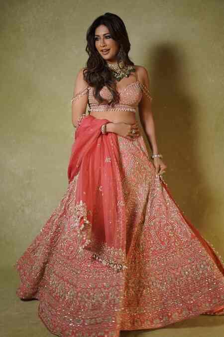 Buy Pink Silk, Organza Embroidery, Sequins, Zari, Pearls, Zardozi ...