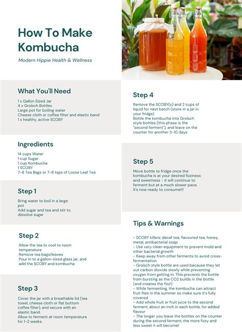 How to Make Kombucha (Easy Step-by-Step Recipe) — Modern Hippie Inc.