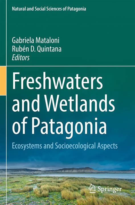 Buy Freshwaters and Wetlands of Patagonia: Ecosystems and ...