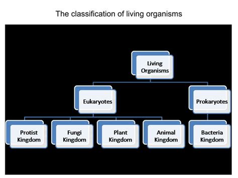 Biology Living Things 的图像结果