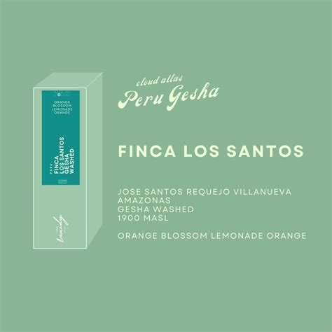 100 g Peru Gesha Washed Los Santos | LINE SHOPPING
