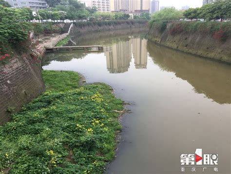 第一眼新闻：坚持推进河长制 永川临江河里的水清澈了_重庆市水利局