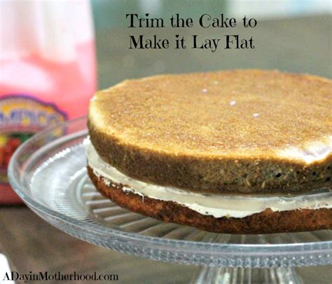 Image result for Web Cakes