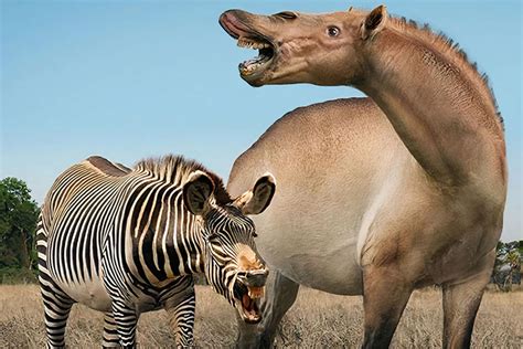 Image result for Extinct Creatures