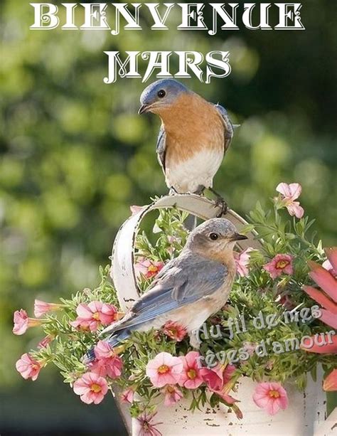 Mars images, photos et illustrations pour facebook - BonnesImages