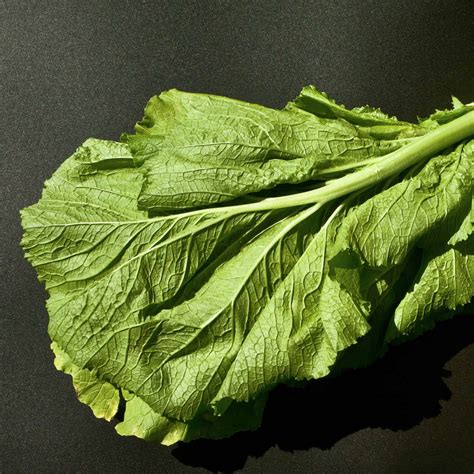 Mustard Greens Plant