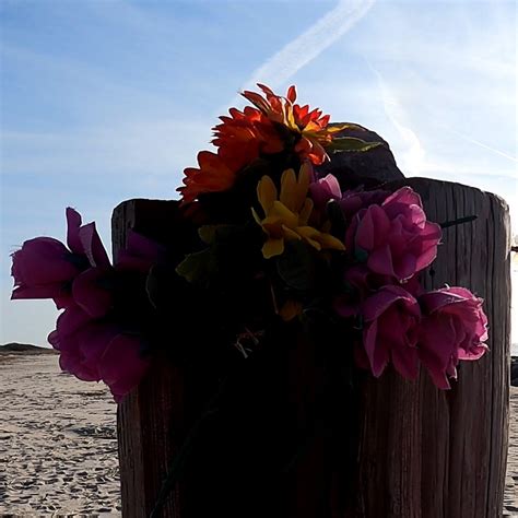 Monica Bulwark | fake #flowers look pretty but they are #trash. here is ...