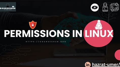 Image result for Linux User Permissions