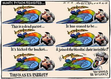 Monty Python Death 的图像结果