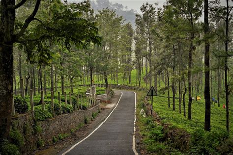 Premium Hill-Station Farmland & Villas for Sale in Kotagiri, Nilgiris ...