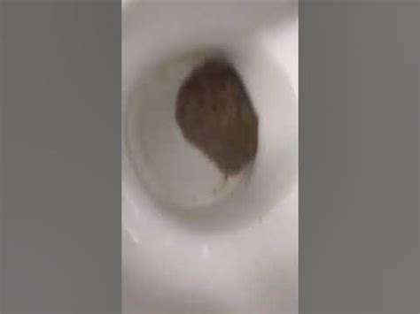 Image result for Modeling Paste Craft Ideas