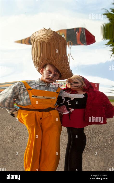 Image result for Distorted Mirror Reflection