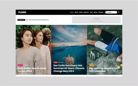 Image result for Web Flow Blog