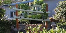 giardino verticale fai da te garden design fai da te checkmateinthegardendotcom giardino verticale fai da te garden design fai da te checkmateinthegardendotcom