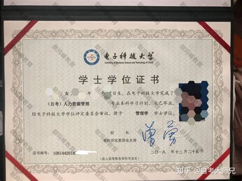 如何申请学历学位在线验证/认证报告？_重庆市人力资源和社会保障局