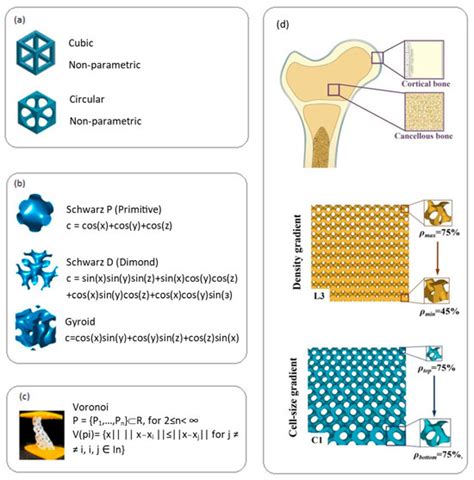 Additive Manufacturing of Biodegradable Metallic Implants by Selective ...